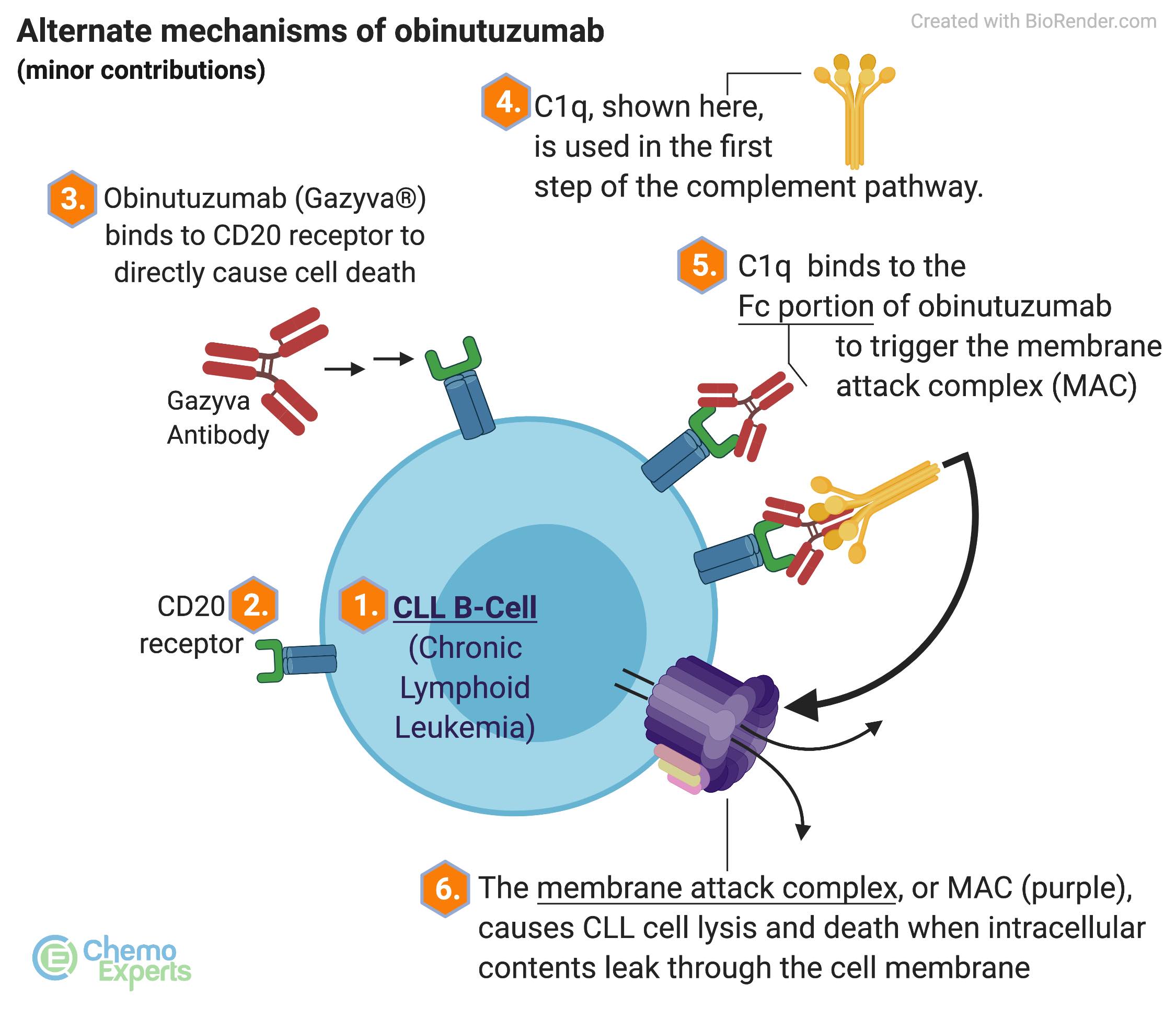 (Venclexta®) + Obinutuzumab (Gazyva®) for CLL